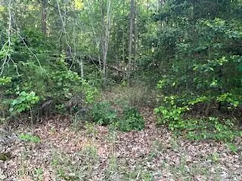 125 Mockingbird Lane Hollister NC 27844