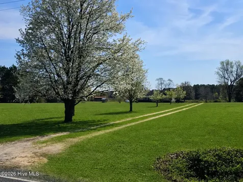 348 Dowd Dairy Road White Oak NC 28399