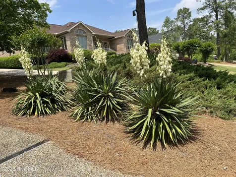 15 Shenecossett Lane Pinehurst NC 28374