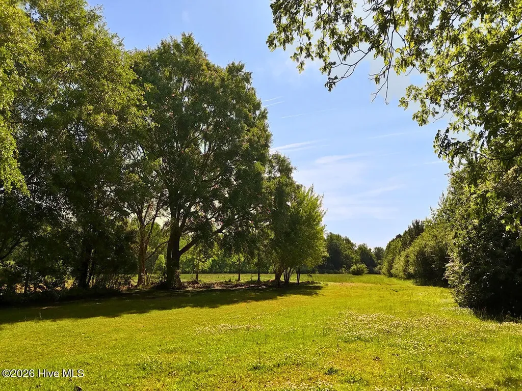 0 Old Chinquapin Road Beulaville NC 28518