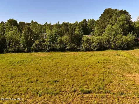 0 Old Chinquapin Road Beulaville NC 28518