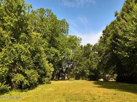 0 Old Chinquapin Road Beulaville NC 28518