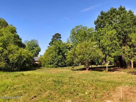 0 Old Chinquapin Road Beulaville NC 28518