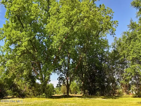 0 Old Chinquapin Road Beulaville NC 28518
