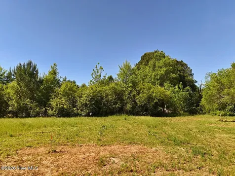 0 Old Chinquapin Road Beulaville NC 28518