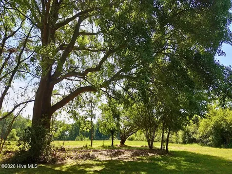 0 Old Chinquapin Road Beulaville NC 28518