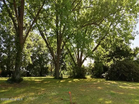 0 Old Chinquapin Road Beulaville NC 28518