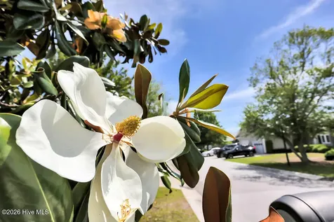 4418 Willow Moss Way Southport NC 28461