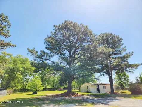 3941 Burnette Farm Road Tarboro NC 27886