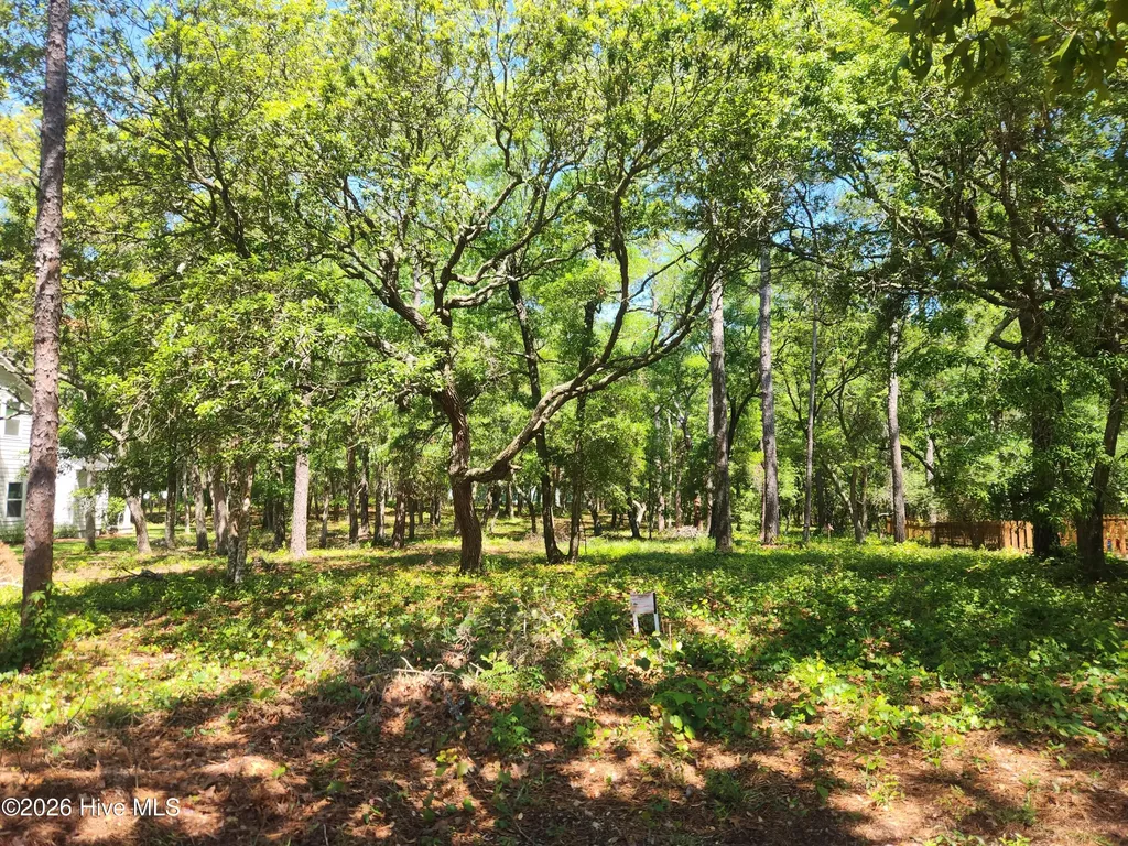 782 Folly Drive SE Bolivia NC 28422