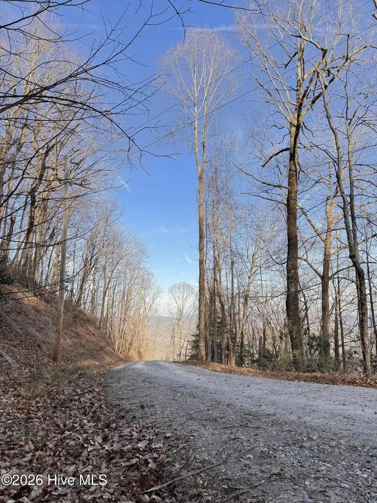 16 & 17 Ridgecrest Drive Lake Lure NC 28746