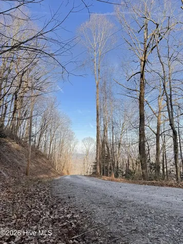 16 & 17 Ridgecrest Drive Lake Lure NC 28746