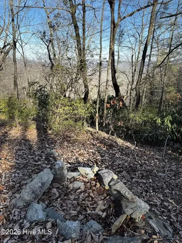 16 & 17 Ridgecrest Drive Lake Lure NC 28746