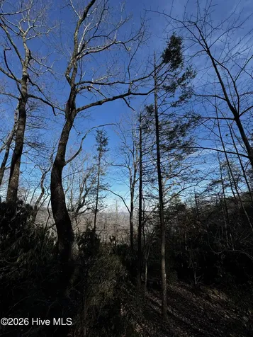 16 & 17 Ridgecrest Drive Lake Lure NC 28746