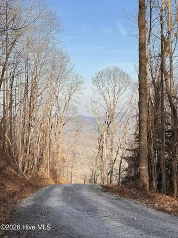 16 & 17 Ridgecrest Drive Lake Lure NC 28746
