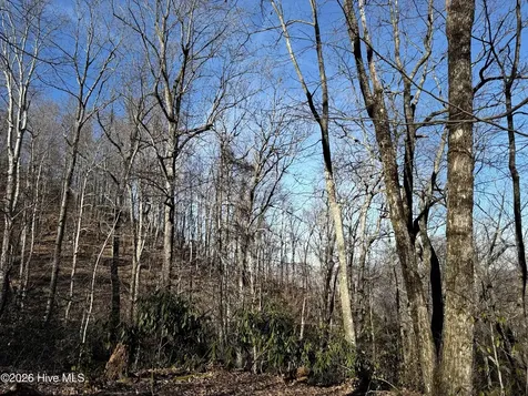 16 & 17 Ridgecrest Drive Lake Lure NC 28746