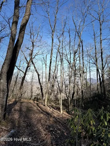 16 & 17 Ridgecrest Drive Lake Lure NC 28746