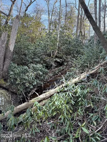 16 & 17 Ridgecrest Drive Lake Lure NC 28746