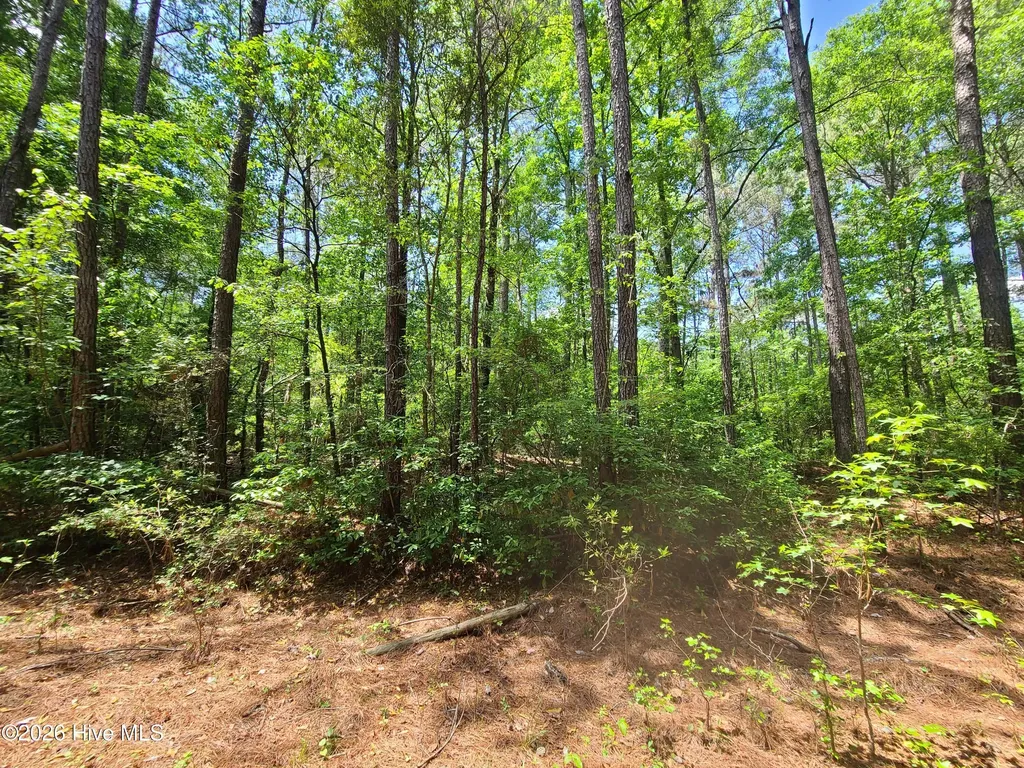 55 Mable Street Kinston NC 28504