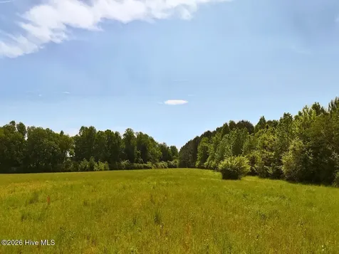 0 Old Chinquapin Road Beulaville NC 28518