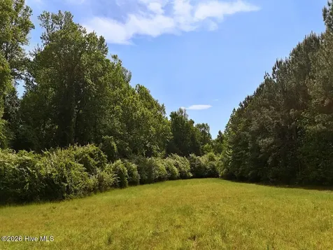 0 Old Chinquapin Road Beulaville NC 28518