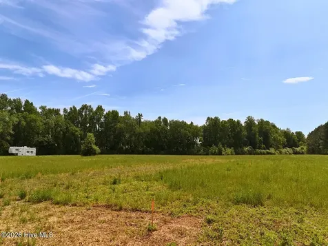 0 Old Chinquapin Road Beulaville NC 28518
