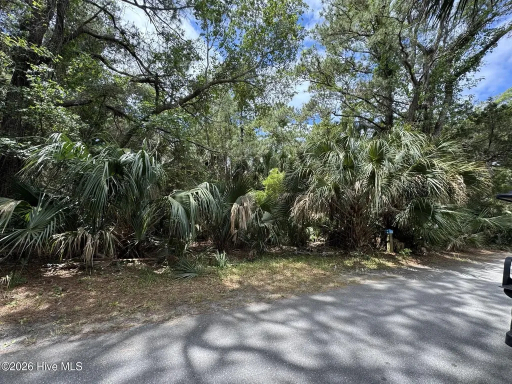 8 Dowitcher Trail Bald Head Island NC 28461