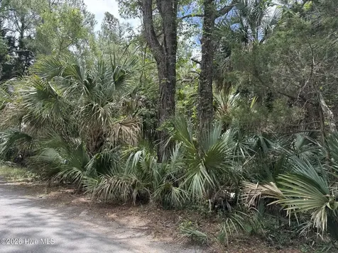 8 Dowitcher Trail Bald Head Island NC 28461