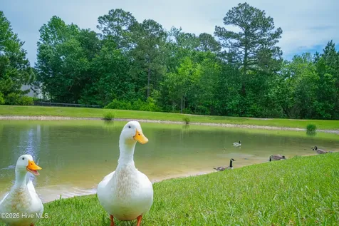 209 Shallowbag Bay Lane Jacksonville NC 28546