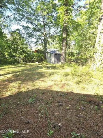 513 Birchwood Court Jacksonville NC 28546