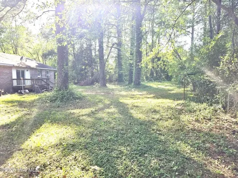 513 Birchwood Court Jacksonville NC 28546