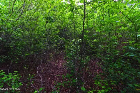000 Macon-embro Road Macon NC 27551