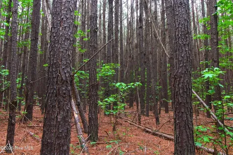 000 Macon-embro Road Macon NC 27551