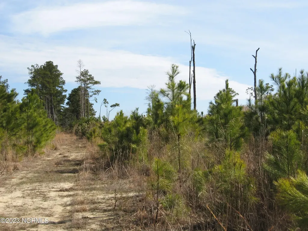 4161 Caratoke Highway Barco NC 27917