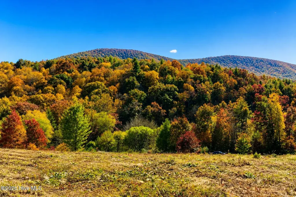 488 Dewitt Road Glade Valley NC 28627