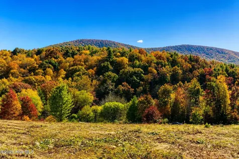 488 Dewitt Road Glade Valley NC 28627