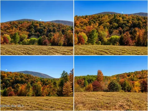488 Dewitt Road Glade Valley NC 28627