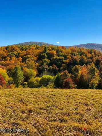 488 Dewitt Road Glade Valley NC 28627