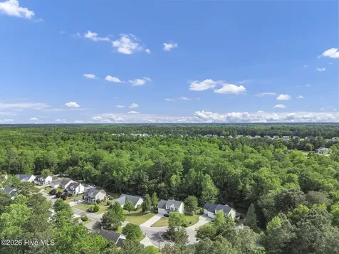 7378 Ruby Stone Court Leland NC 28451