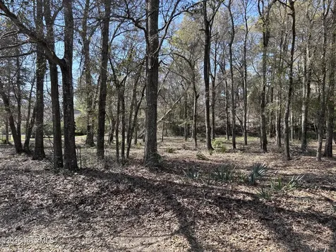 1951 Redfish Run SW Supply NC 28462