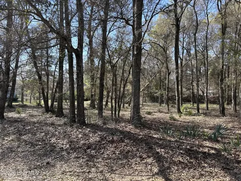 1951 Redfish Run SW Supply NC 28462