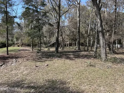 1951 Redfish Run SW Supply NC 28462