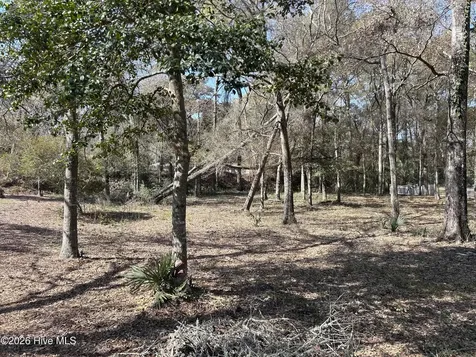 1951 Redfish Run SW Supply NC 28462