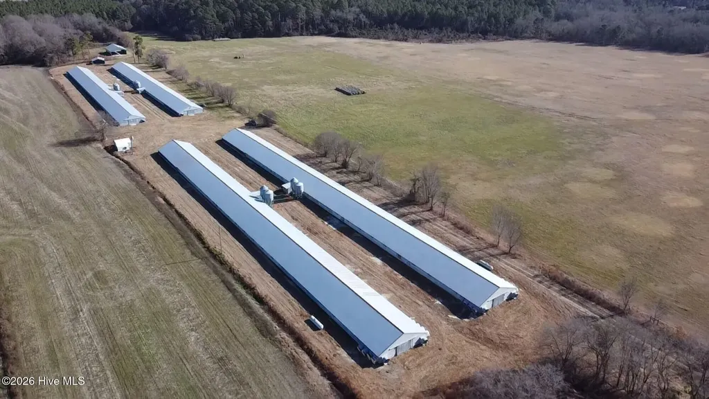 16681 Lauch Blue Road Gibson NC 28343