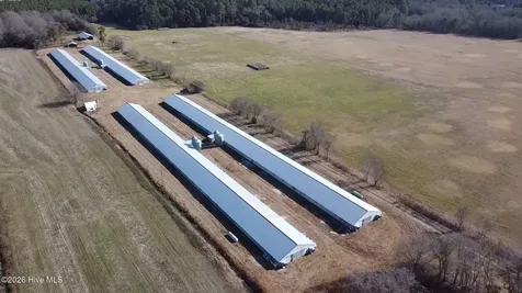 16681 Lauch Blue Road Gibson NC 28343