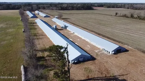 16681 Lauch Blue Road Gibson NC 28343