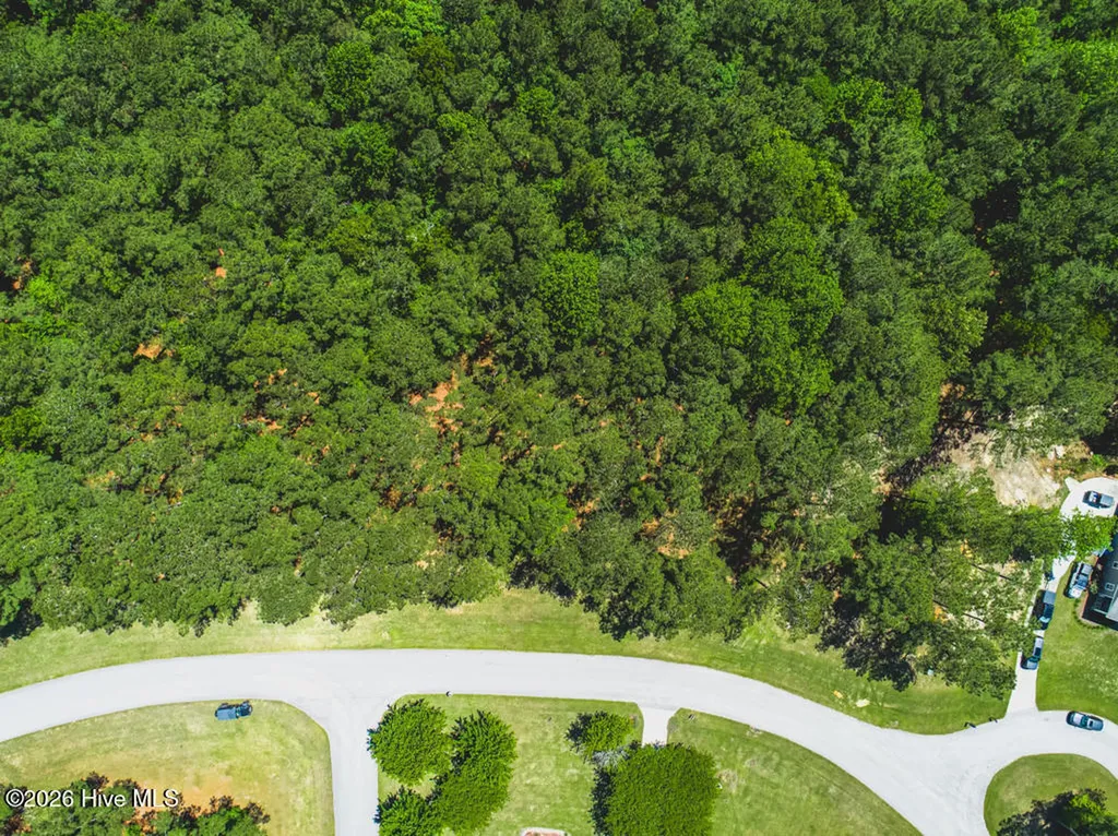 321 Wild Swan Lane Minnesott Beach NC 28510