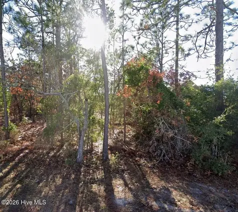 Lot 6 Ash Road Boiling Spring Lakes NC 28461