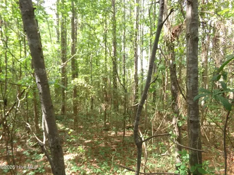 0 Pages Lake Road Saint Pauls NC 28384
