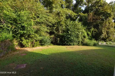163 Brenda Drive Jacksonville NC 28546